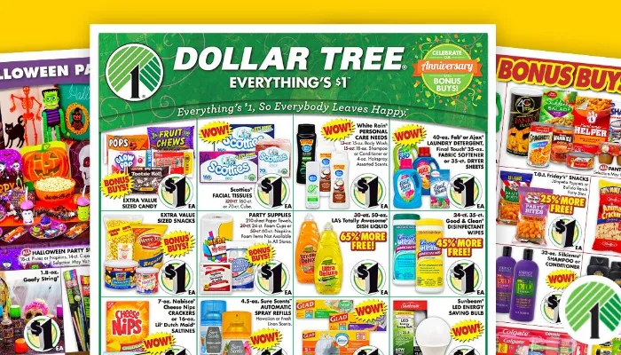 The Voice of the Customer - Views from Dollar Tree Patrons